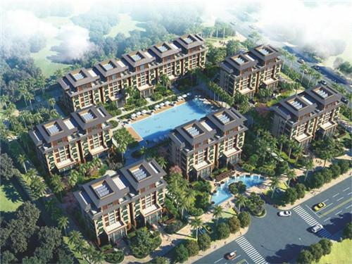 一只鲍鲍汁焖鸡