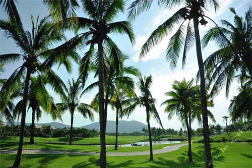 什么品牌的奶茶连锁店适合新手加盟，糖吉歌德加盟需要多少钱