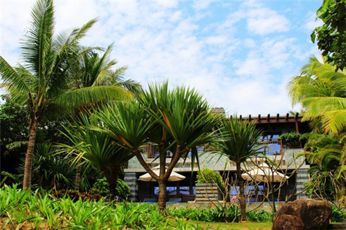 惠阳麻花加盟费多少，惠阳麻花加盟费多少钱