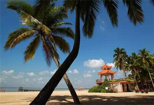 察哈尔右翼中旗适合投资小开的水泥管加盟店有哪些