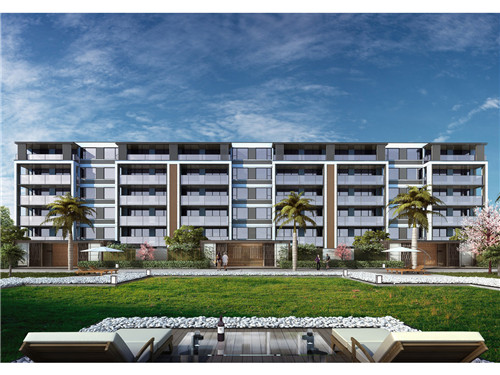 奶茶店怎么分红（奶茶店怎么分红给客户）