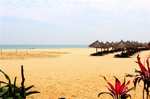 世界十大最佳发动机（世界最好发动机前十名）