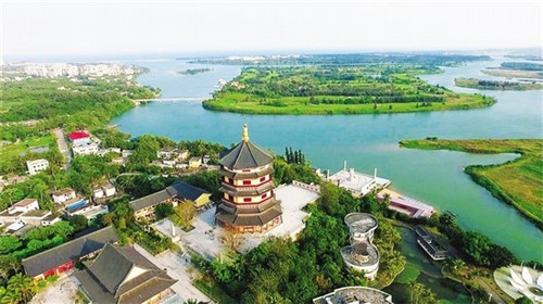 炒小抓鸡怎样炒好吃（炒小抓鸡怎样炒好吃视频）