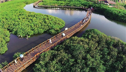 酱肚营养成分（酱肚鱼的做法）