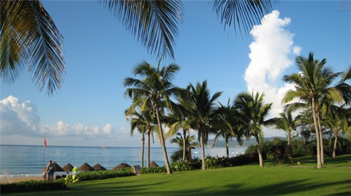 嘿水饮料图片（嘿饮加盟）